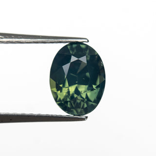 1.99ct 7.98x6.09x4.95mm Oval Brilliant Sapphire 28307-01