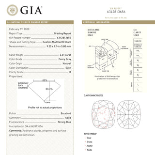 4.61ct 9.25x9.14x5.80mm GIA I3 Fancy Grey Cushion Brilliant 18859-01