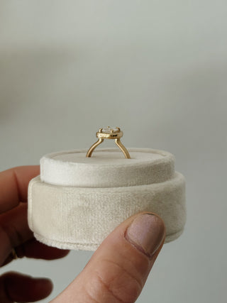 fallon ring